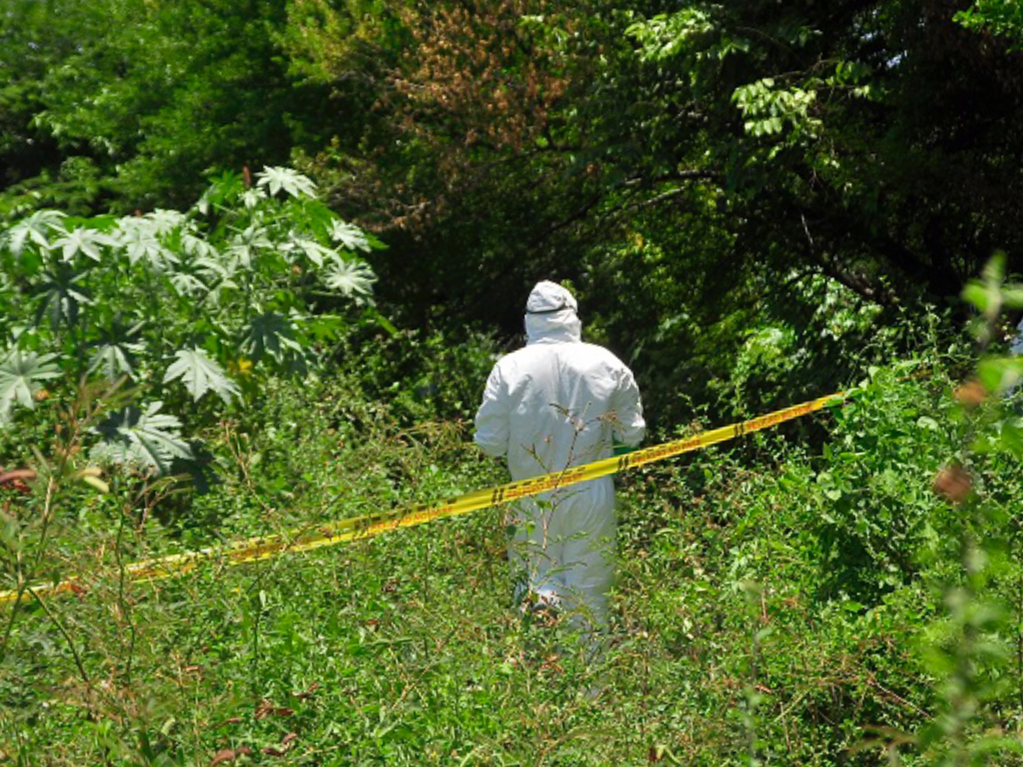Los cadáveres aún no han sido identificados por las autoridades.