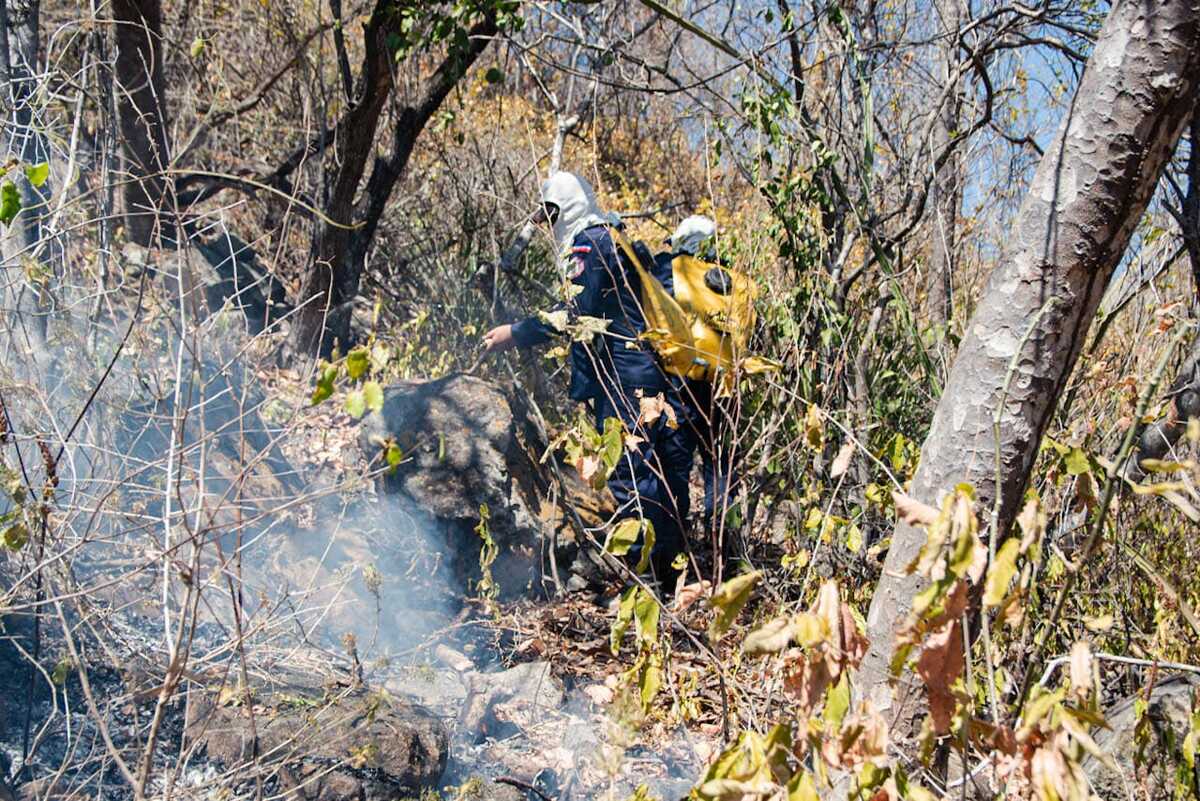 Bomberos atienden alrededor de 8 a 9 incendios forestales diarios en la zona rural y urbana de Valledupar, siendo más frecuentes en la ciudad. El 31 de enero ocurrió un incendio en el cerro detrás de la DPA, una reserva natural. Foto: Jesús Ochoa.
