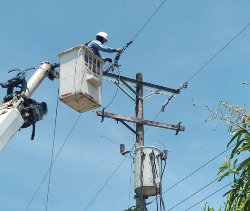 Foto referencia de Afinia.