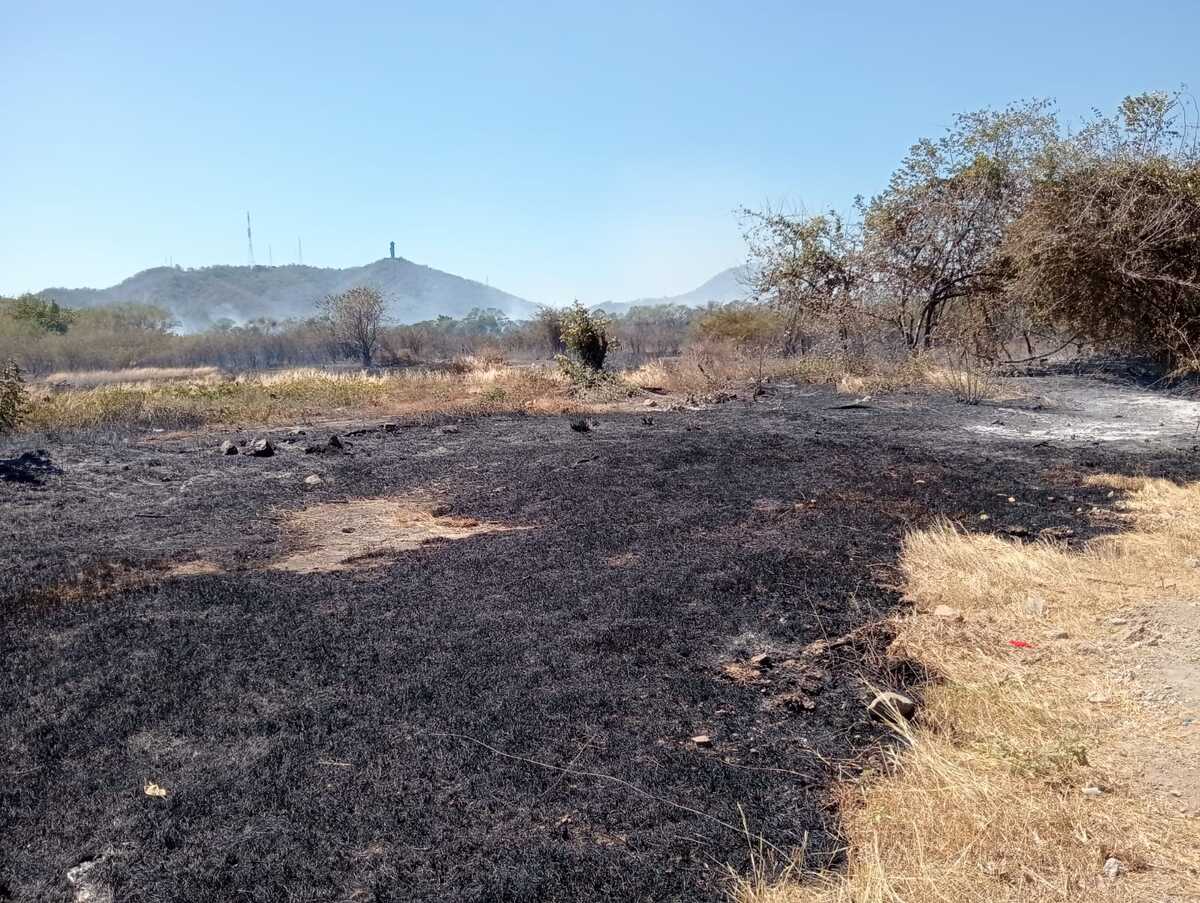 Incendio en la Reserva Altos de Buenos Aires. Foto: Cortesía.