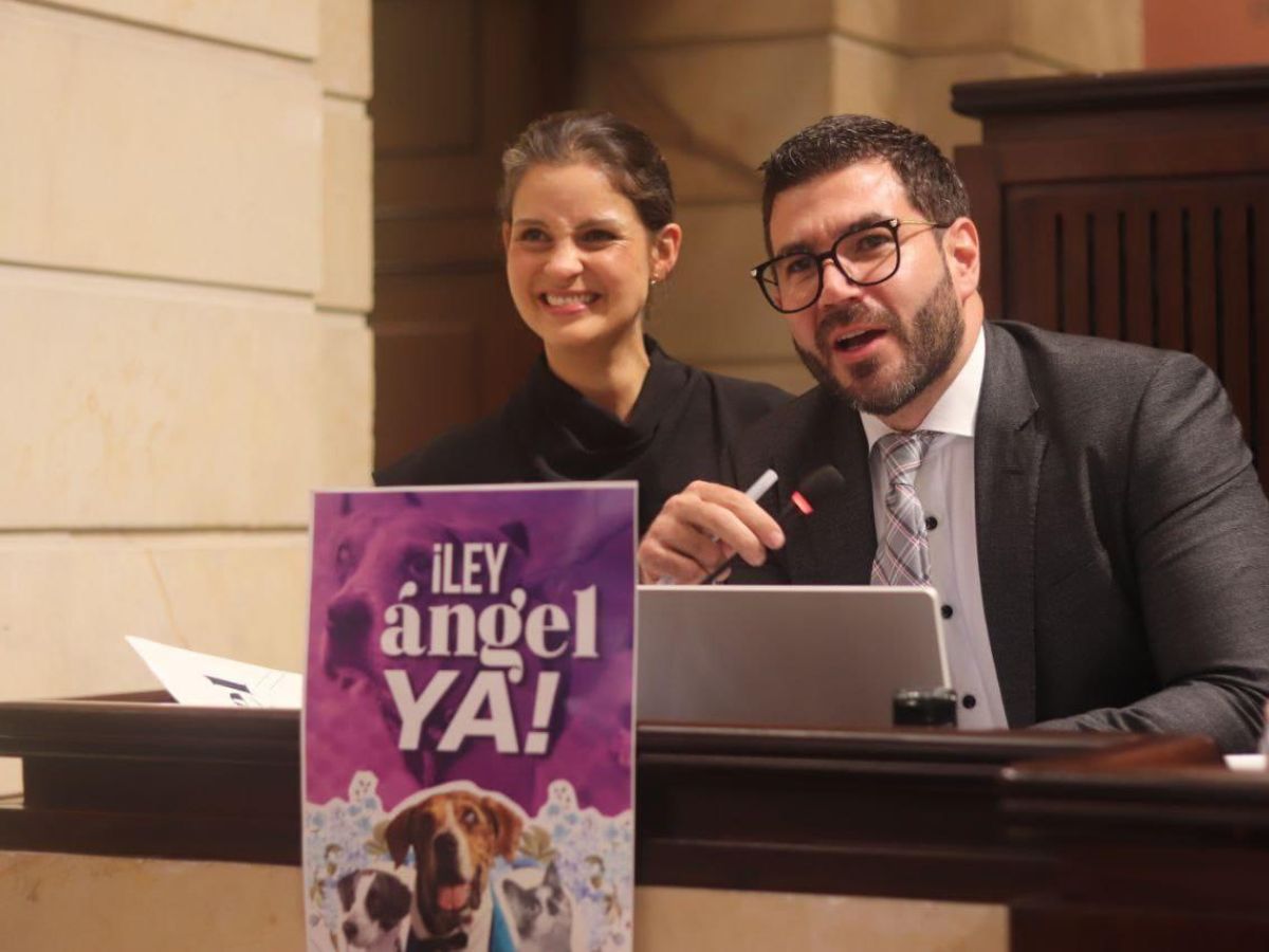 Ley Ángel: un paso hacia la protección de los animales en Valledupar y el Cesar