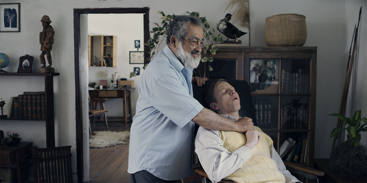 Cine colombiano en Valledupar: ‘Yo vi tres luces negras’ y ‘Nubes grises soplan sobre el campo verde’, películas de estreno en Marines Films