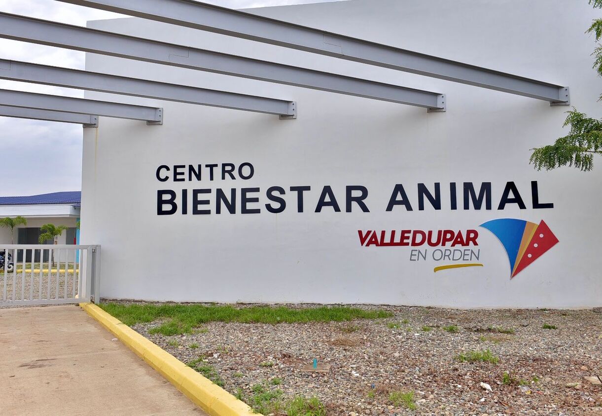 ¿Por qué no está funcionando el Centro de Bienestar Animal de Valledupar? Secretaria de Salud responde