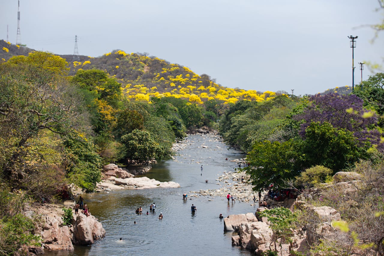 ¡Se anuncia la llegada del festival!