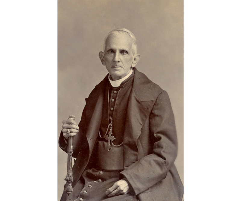 Vida del excelentísimo obispo Rafael Celedón Ariza