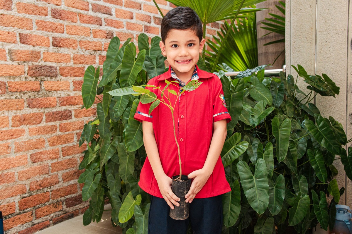 Foro del árbol. Foto: Jesús Ochoa