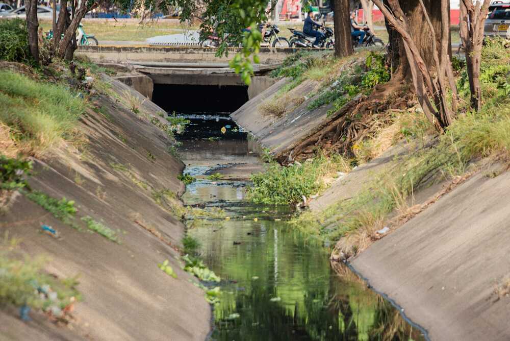 Denuncian riesgo de “proliferación del dengue” por vertimiento de aguas usadas en canal de Panamá