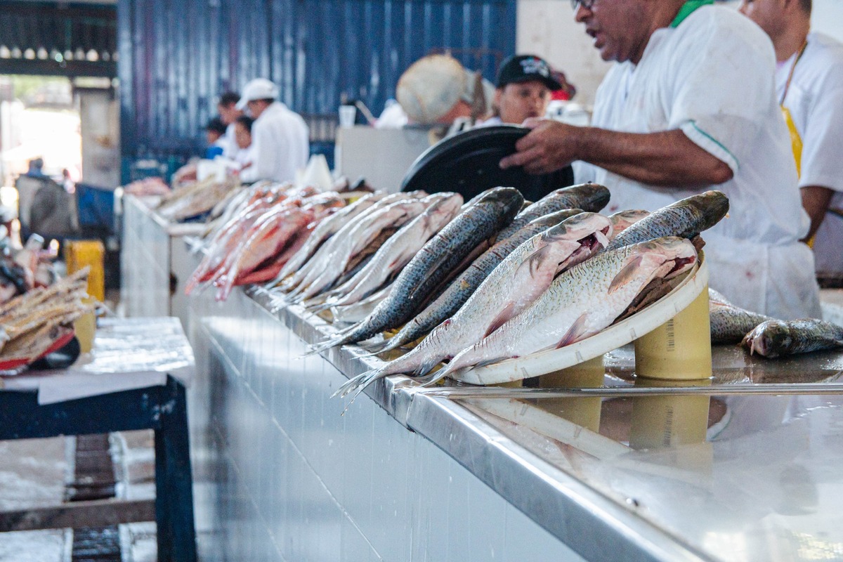 Pescados de río y de mar en el Pabellón de Pescados de Valledupar. Foto: Jesús Ochoa.