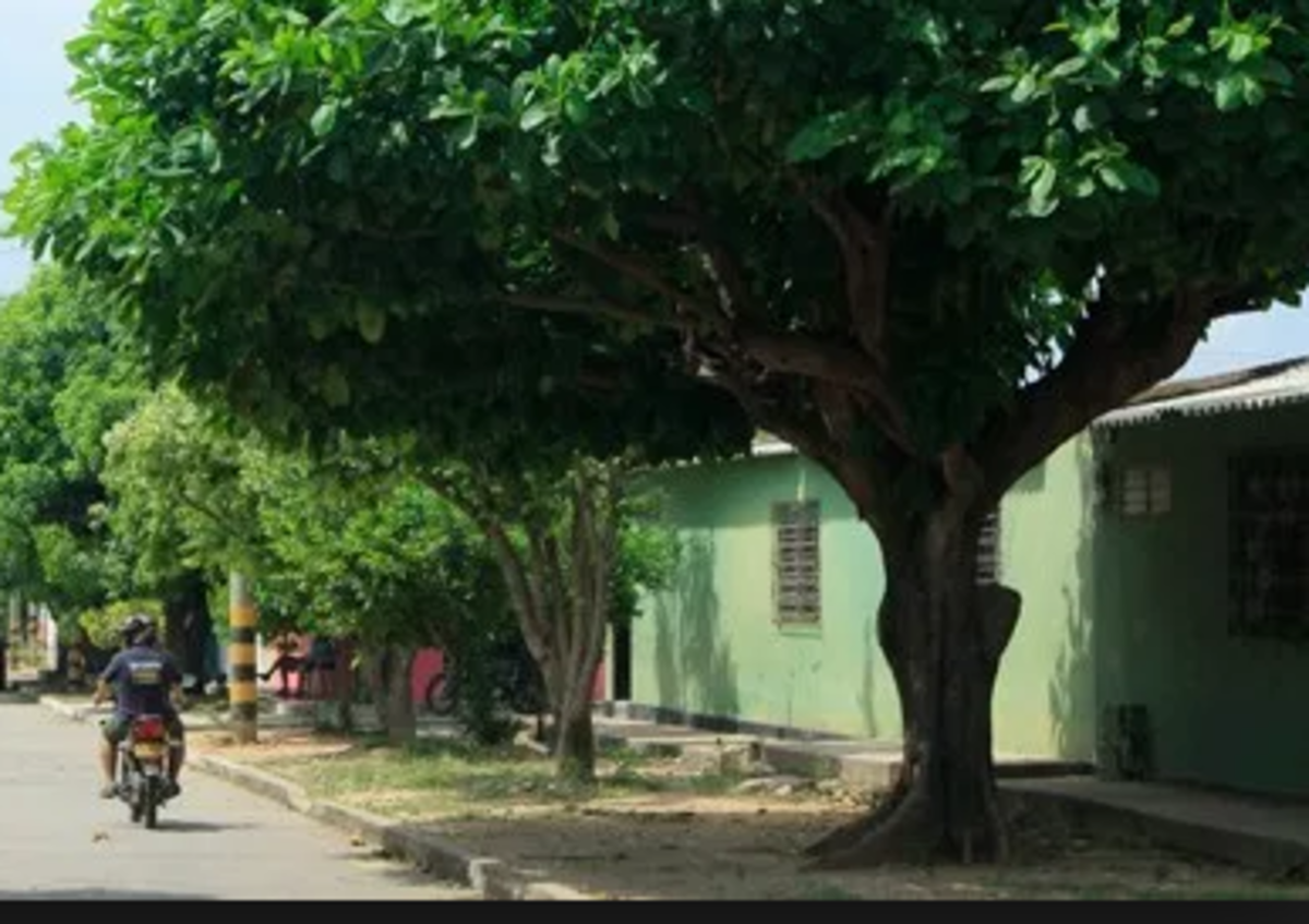 Revelan identidades de los heridos en balacera en Valledupar: uno de ellos, menor de edad