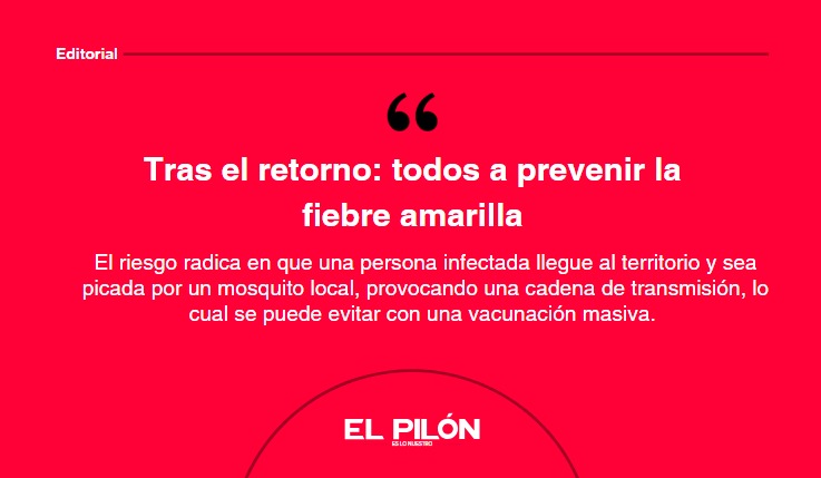 Tras el retorno: todos a prevenir la fiebre amarilla