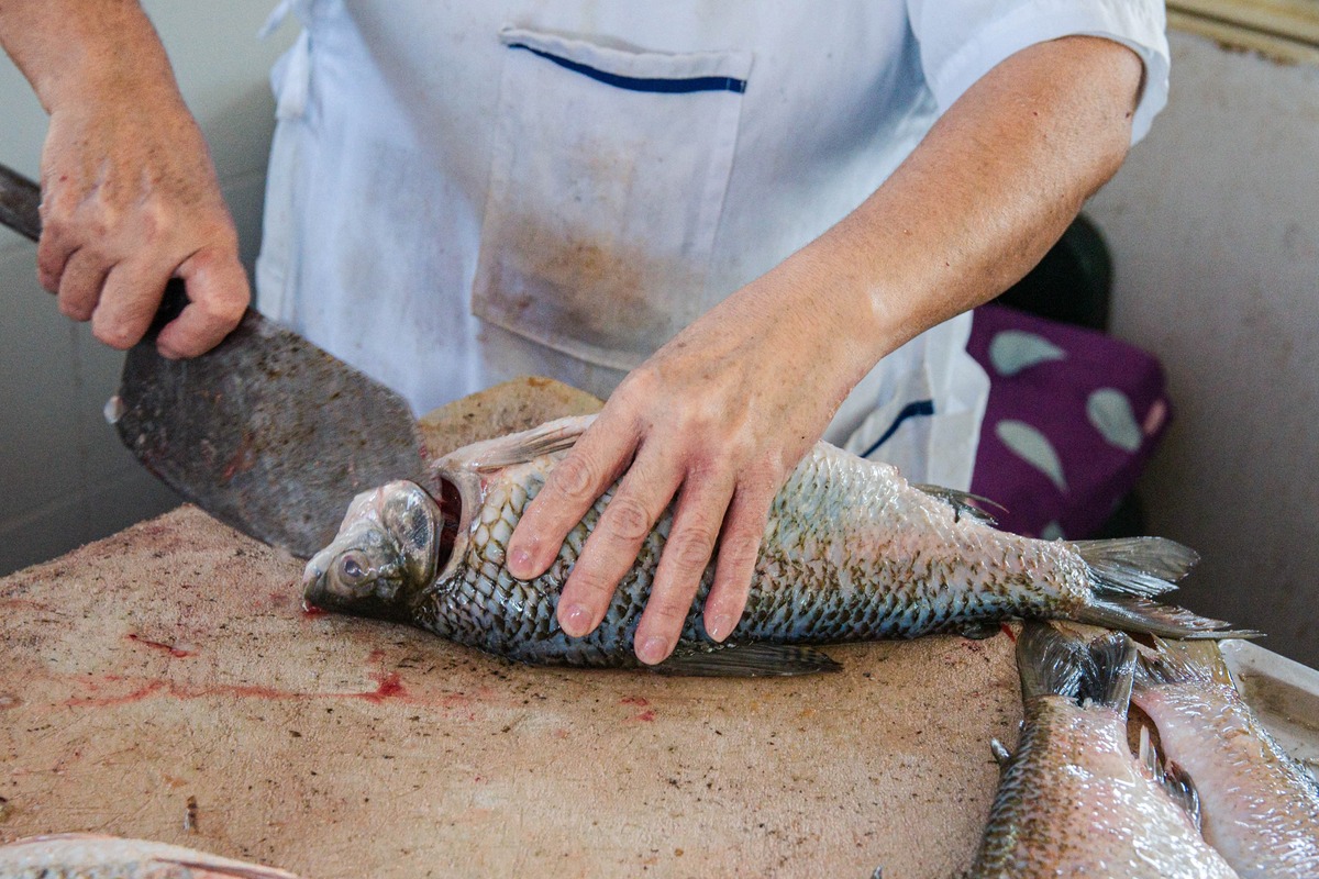 El pescado, protagonista en el pabellón de Valledupar durante Jueves y Viernes Santo: alimento que evoca el sacrificio de Cristo. Foto: Jesús Ochoa.
