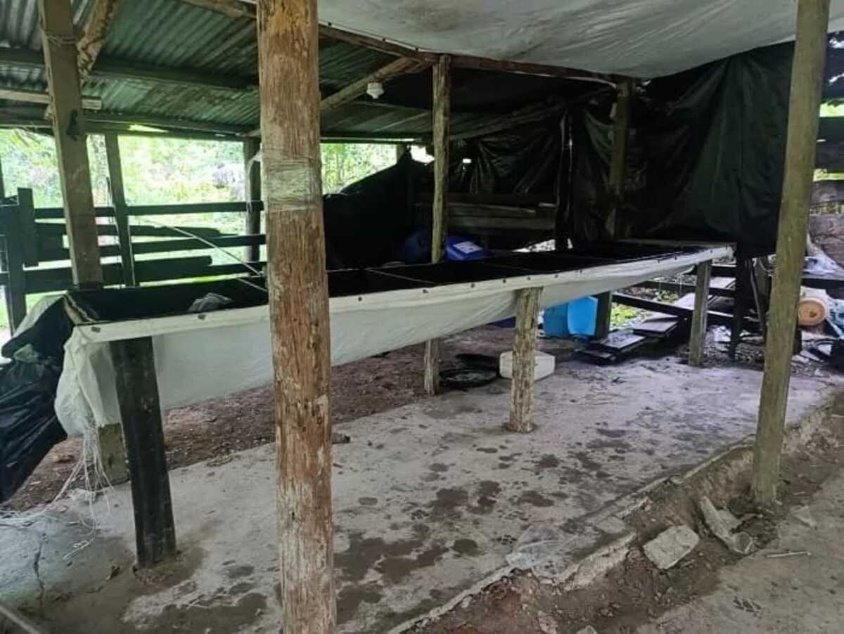 Golpe al ELN: desmantelan laboratorio de cocaína en el sur del Cesar