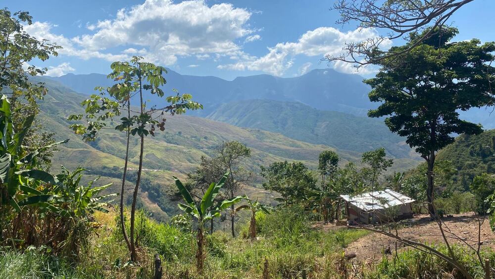 Ganaderos y comunidades campesinas de la Serranía del Perijá denuncian la pérdida de reses y el aumento de la tensión territorial con el pueblo yukpa, en medio de un conflicto histórico por la tierra en Codazzi, Cesar. Foto: El Heraldo.