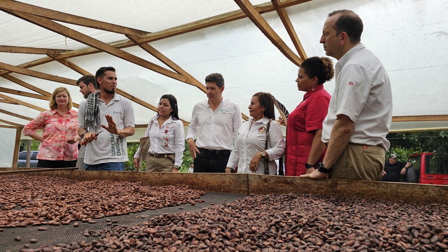 Drummond trabaja por mejorar la producción de café en Codazzi.