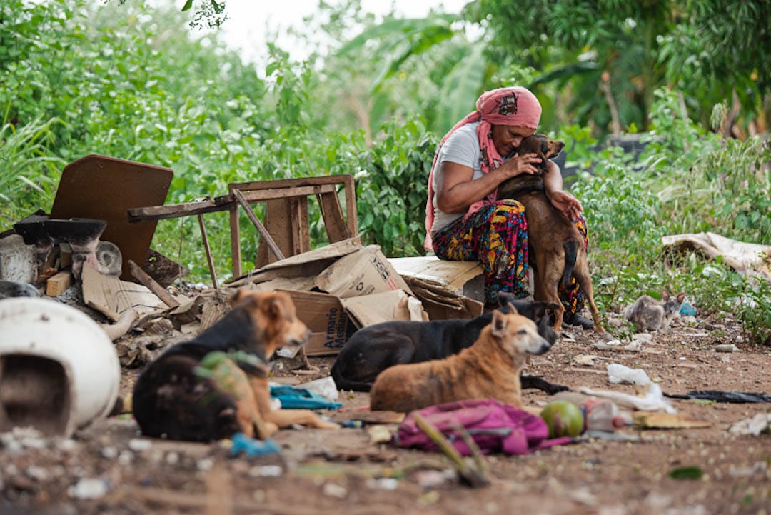 Una despojada junto a sus animales, lastimados y lacerados, sobreviven en condiciones insalubres tras el desalojo del antiguo lote del IDEMA en Valledupar, donde la maquinaria destruyó sus refugios y dejó a perros, gatos y otros animales en total abandono y vulnerabilidad. Foto: Jesús Ochoa.