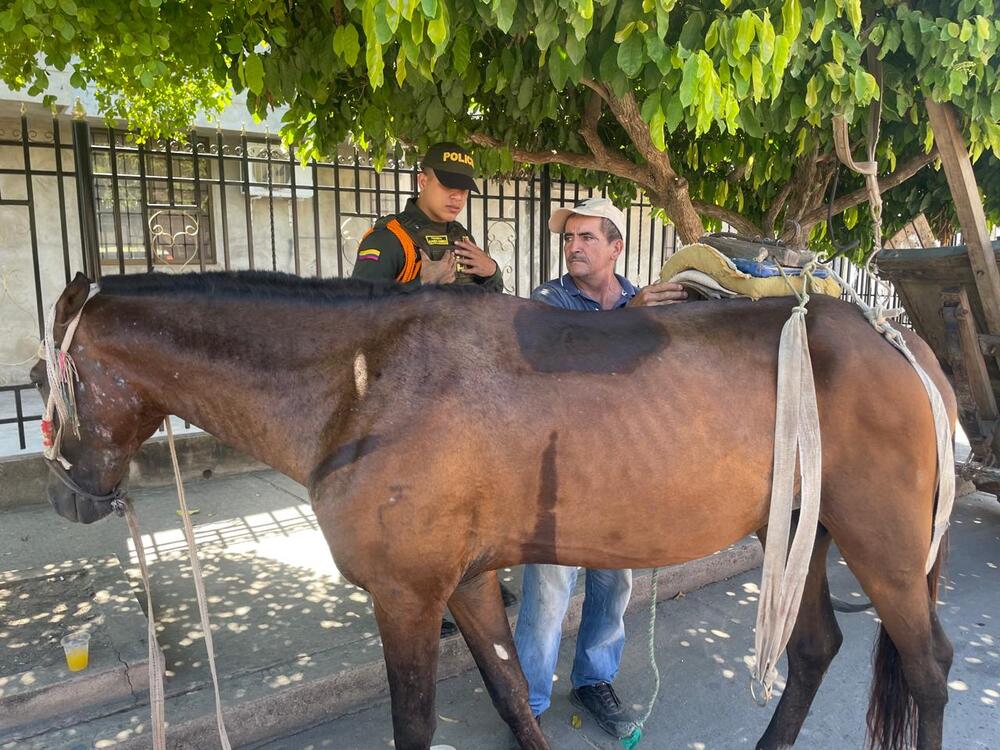 Uniformados de la Policía Metropolitana de Valledupar inspeccionan vehículos de tracción animal. Foto: Policía Metropolitana.