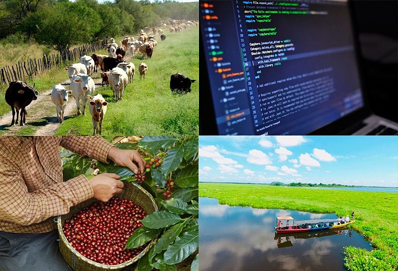 Sectores económicos del departamento del Cesar.