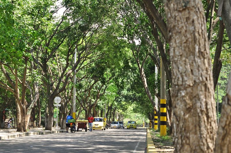 Aprobada la concesión que intervendrá y mantendrá las zonas verdes y cuencas de Valledupar
