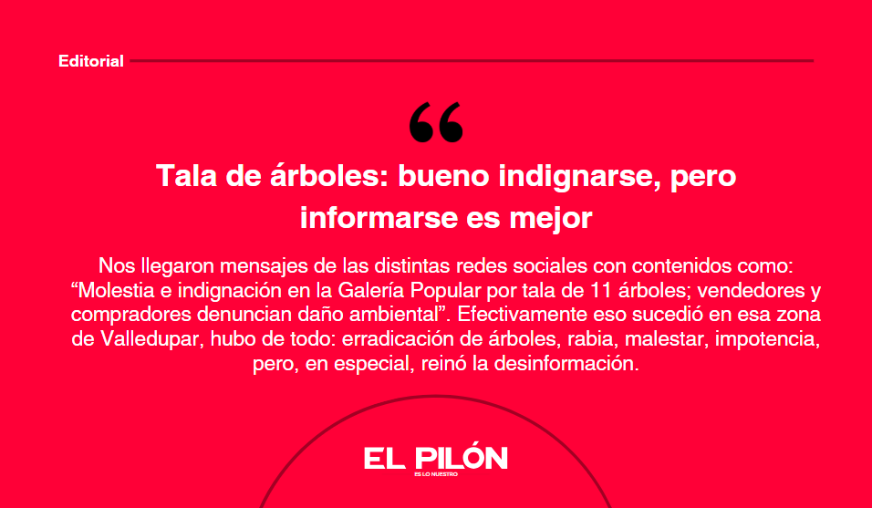 Tala de árboles: bueno indignarse, pero informarse es mejor