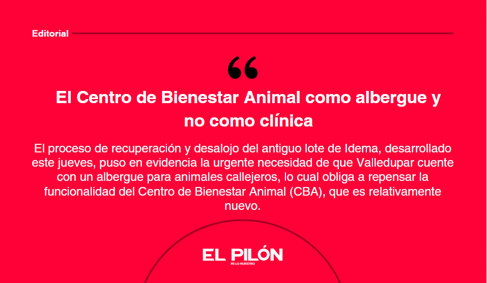 El Centro de Bienestar Animal como albergue y no como clínica