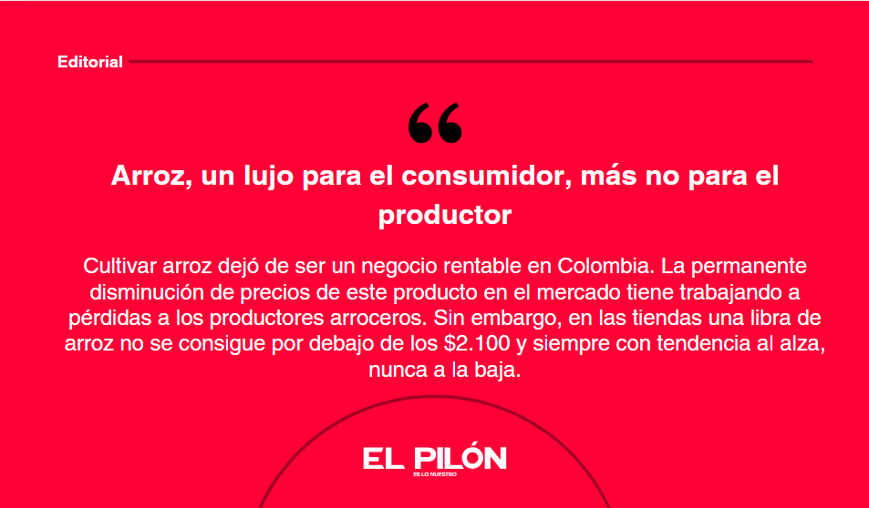 Arroz, un lujo para el consumidor, más no para el productor