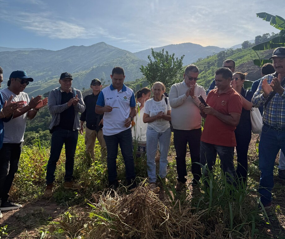 El frijol caraota es apreciado en el mercado colombiano.