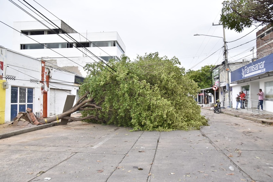 Declaran alerta amarilla en Valledupar tras vendaval que golpeó a más de 40 zonas: reportan tres heridos