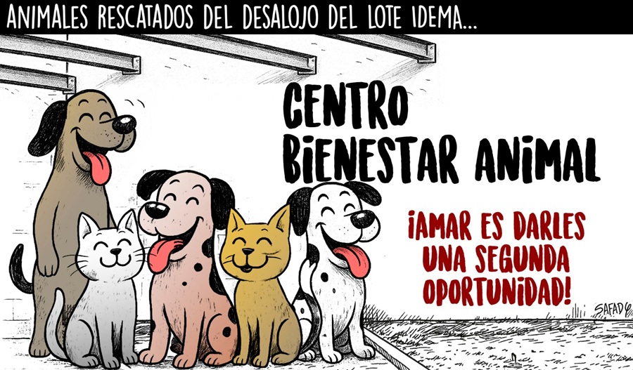 Animales rescatados del desalojo del lote Idema