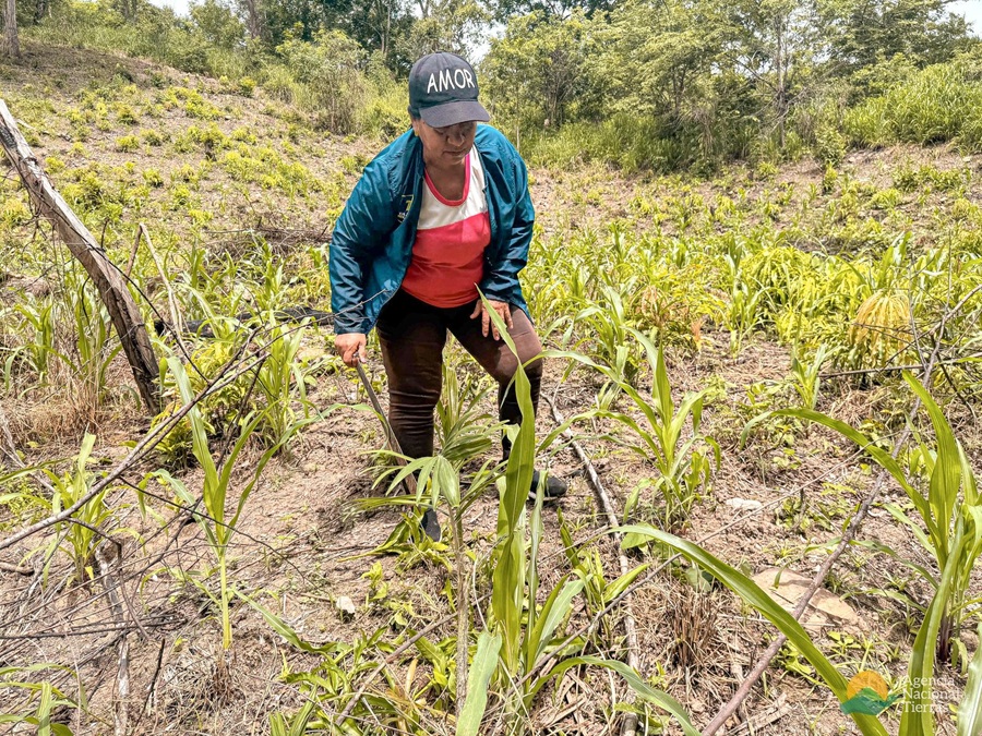 Campesinos de la Serranía del Perijá aseguran que actuaciones de la Agencia Nacional de Tierras agrava conflicto con el pueblo yukpa