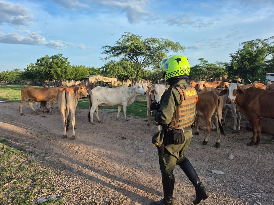 Con operativo en Los Venados, Valledupar, buscan reforzar la seguridad y prevenir delitos