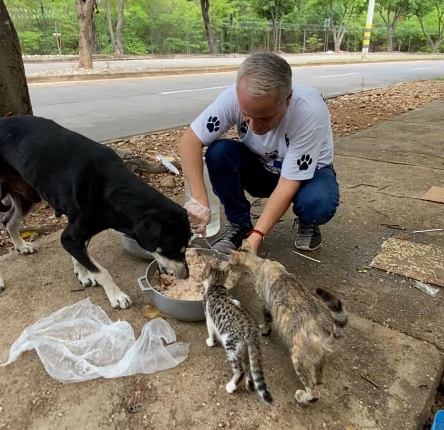 Super Papá Canino, Ramiro Plata Peláez, recorre diariamente las zonas al norte de Valledupar, alimentando y cuidando a decenas de perros y gatos en situación de abandono, en una labor necesaria frente a la indiferencia institucional y el abandono masivo. Foto: Cortesía.