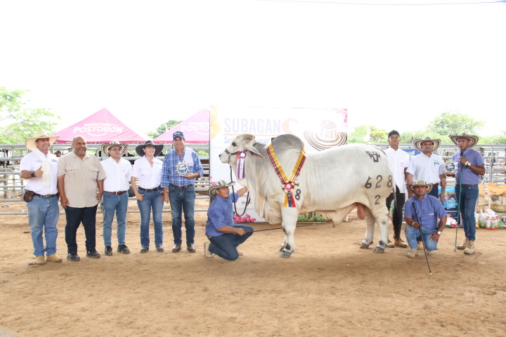 Estos son los ganadores bovinos y equinos de la versión 44 de la Feria Ganadera y Agroindustrial de Valledupar