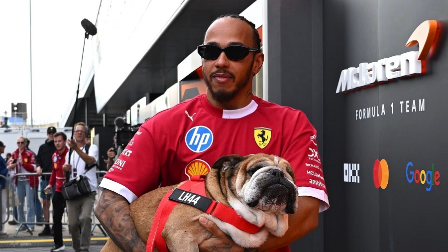 Lewis Hamilton anuncia la dolorosa muerte de su perro Roscoe: “La decisión más difícil de mi vida”