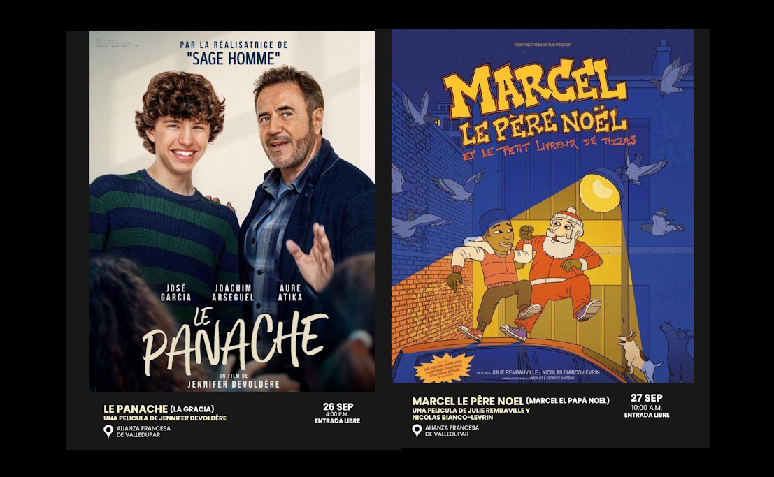 the frances skimmer in leather