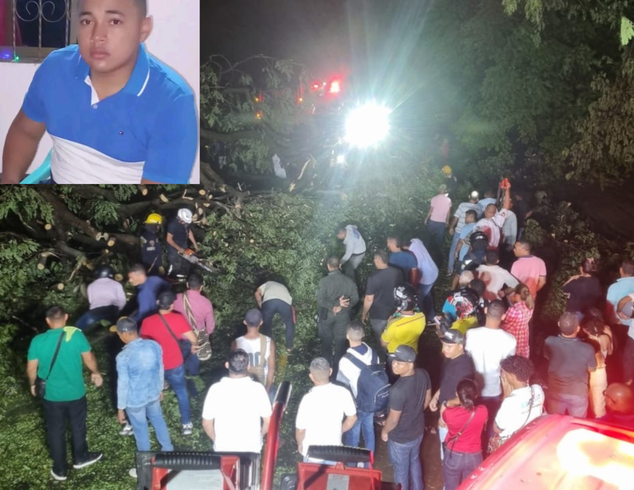 Tragedia en Valledupar: vigilante murió tras caerle un árbol encima en medio de fuertes brisas