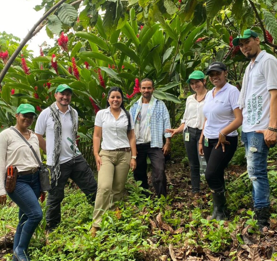 Web. Campesinos de la Serranía de Perijá que exportaron cacao a Reino Unido.
