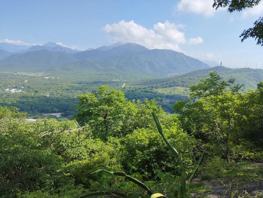 El foro ambiental invita a la comunidad este viernes 5 de septiembre en la Cámara de Comercio para debatir y reflexionar sobre el futuro ambiental de la ciudad. Foto: Foro Ambiental del Cesar.