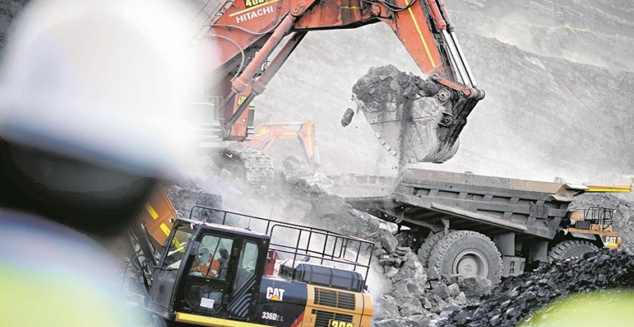 El tigre de papel que salvaguarda la biodiversidad: la ANLA