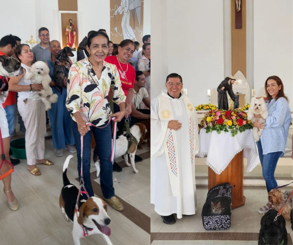 En Valledupar celebraron a San Francisco de Asís bendiciendo a las mascotas