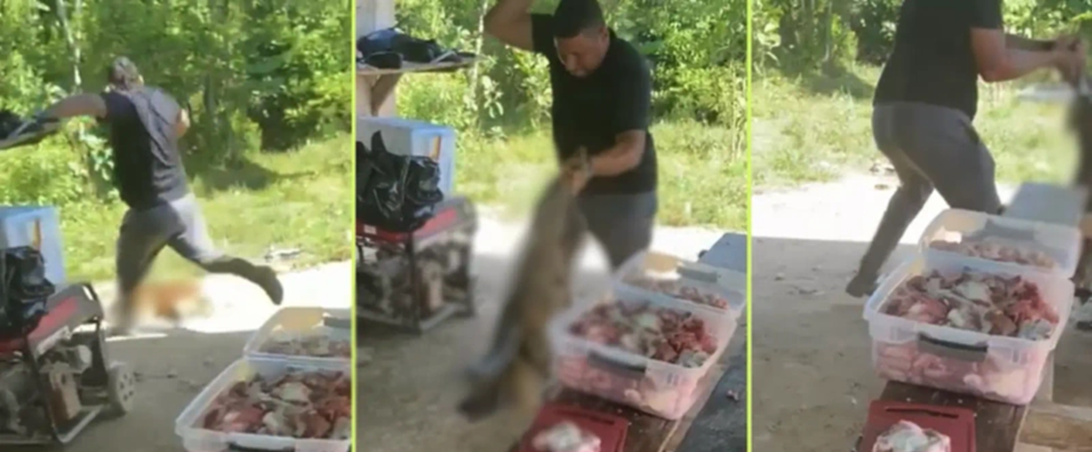 El hombre golpeó a patadas y con un objeto al perro que se encontraba indefenso. FOTO: CAPTURA VIDEO.