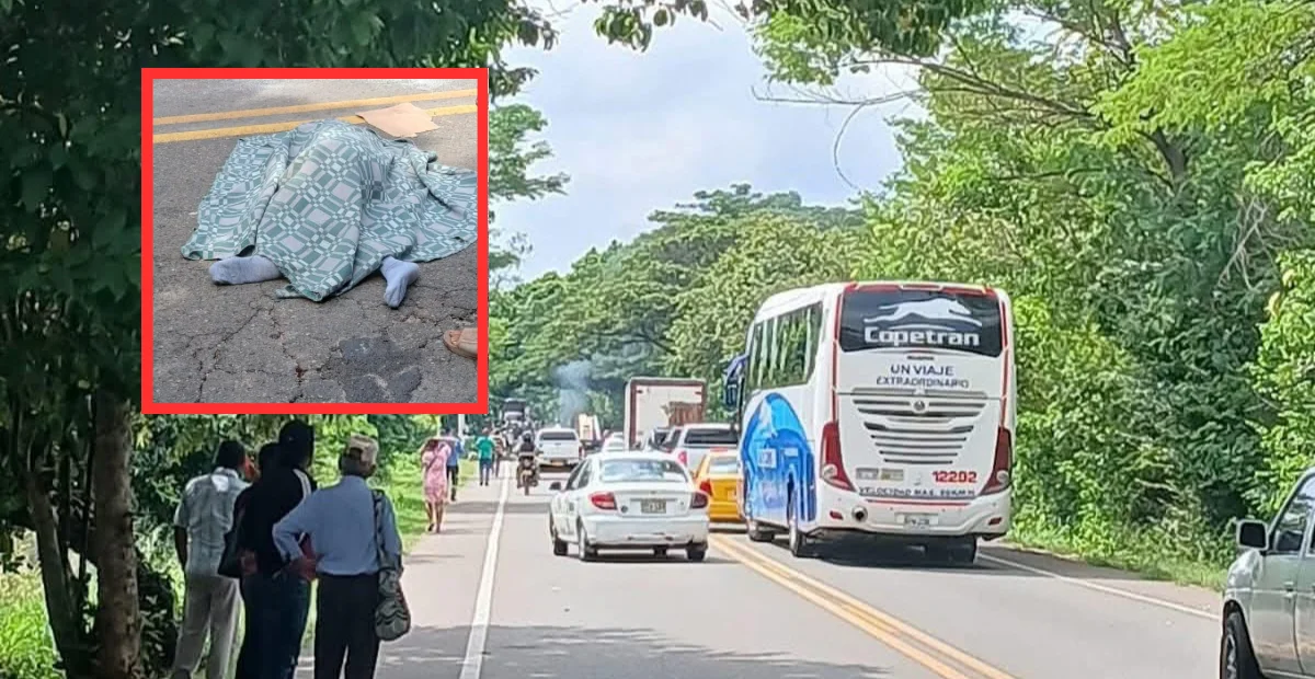 Habitantes de Nuevas Flores bloquearon la vía en protesta por los constantes accidentes en el sector. Foto: cortesía.