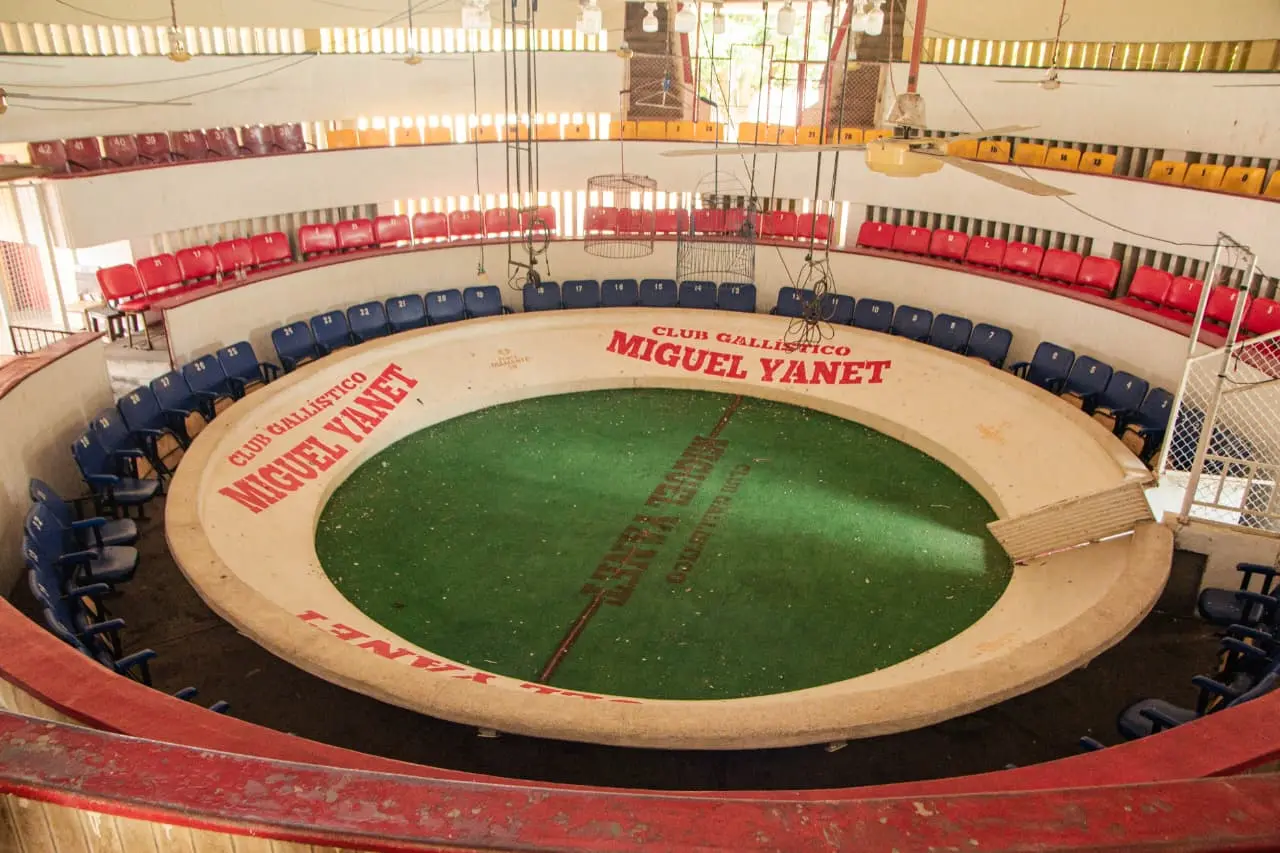 Coliseo gallístico Miguel Yaneth, escenario central de las riñas en Valledupar.  Foto: Jesús Ochoa.