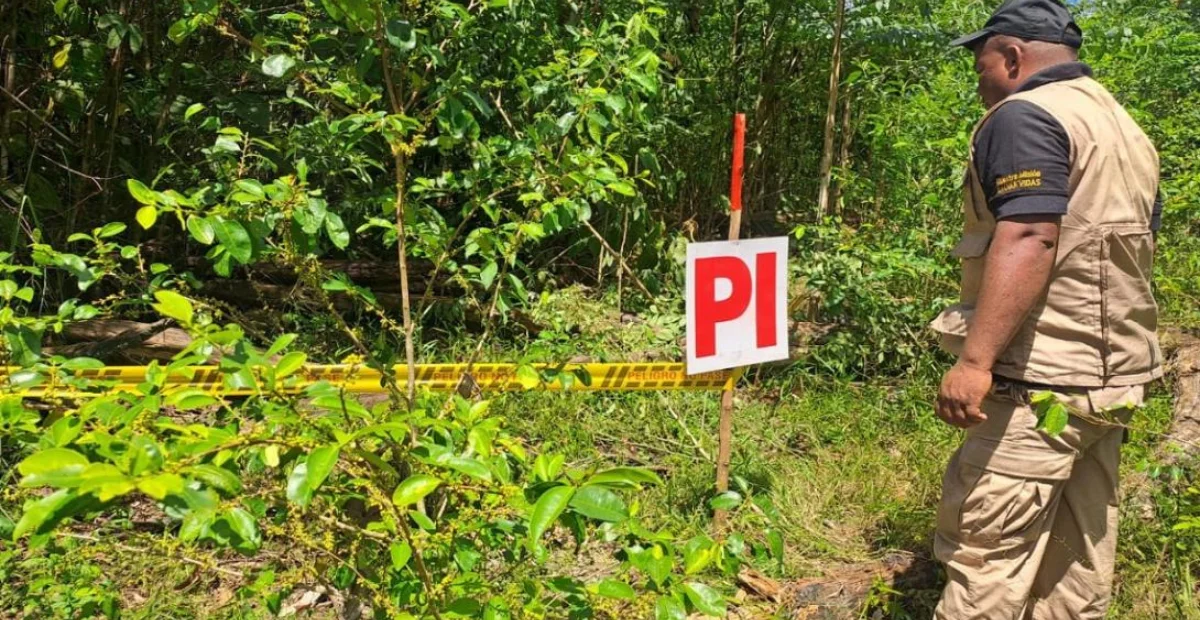 Soldados del Batallón de Desminado Humanitario N.° 3 entregaron más de 7.000 m² libres de minas en Codazzi. Foto: Ejército.