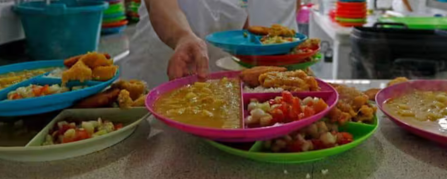 Web - Foto referencia del PAE