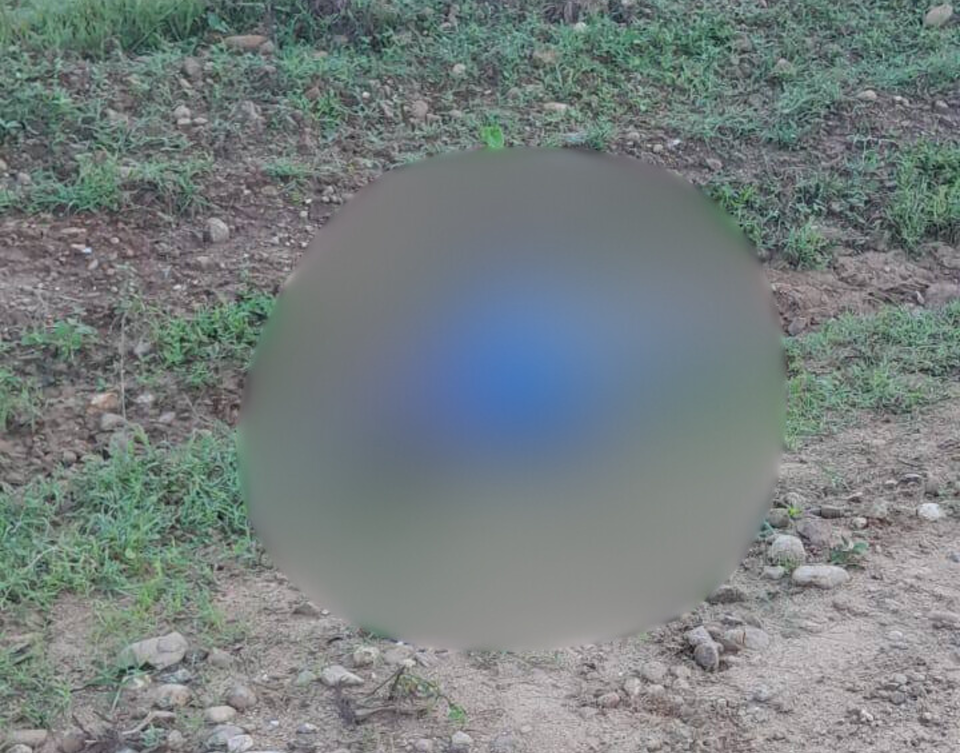 web Muerto-en-curumani-22