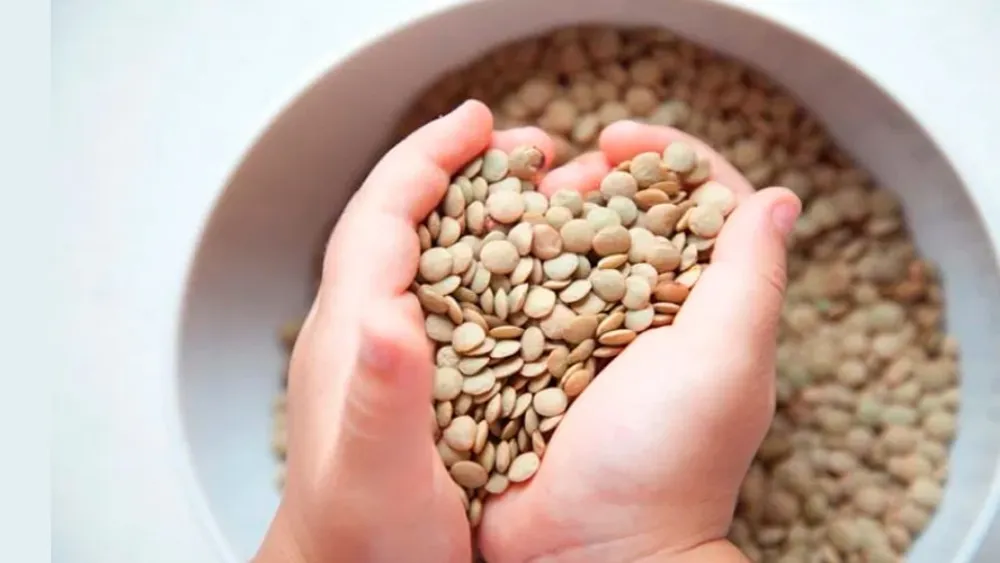 Para quienes esperan abundancia económica, las lentejas en los bolsillos son infaltables.