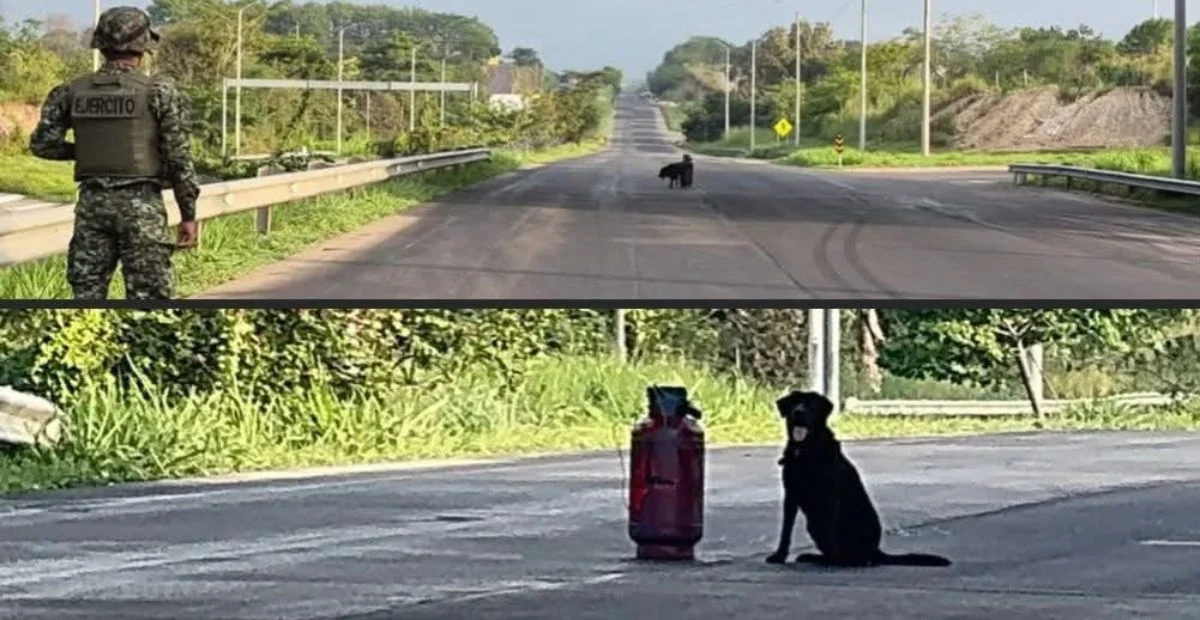 El paro armado de 72 horas decretado por el ELN a nivel nacional dejó en el departamento del Cesar un balance de 12 hechos de alteración del orden público. Foto: cortesía.