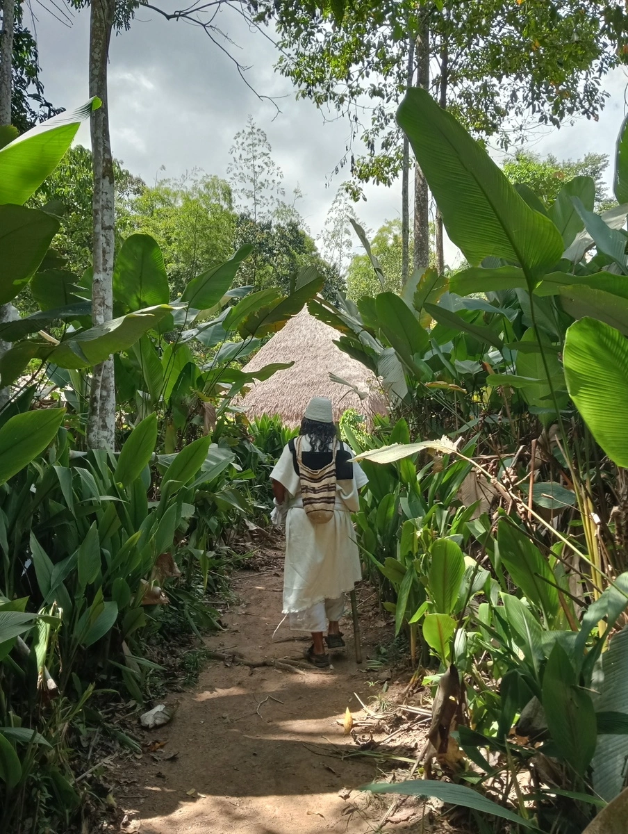 El mamo Mey Jawin, autoridad espiritual del pueblo arhuaco. Foto: Katlin Navarro.
