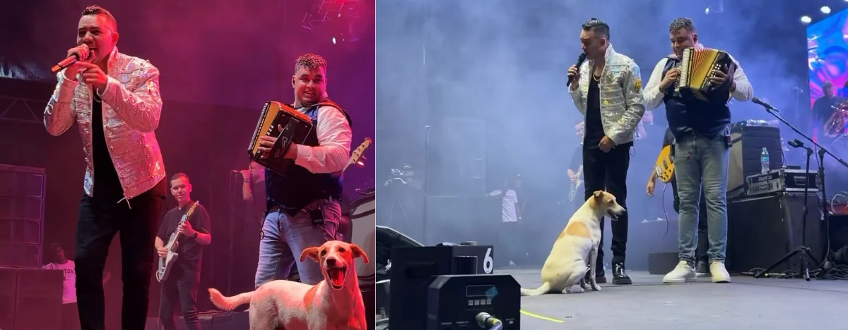 Diego Daza y Rolando Ochoa con el perrito de espectador en concierto. FOTO: REDES SOCIALES.