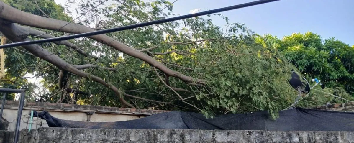 Las fuertes brisas que se toman a Valledupar cada diciembre podrían causar estragos. Foto: Said Armenta